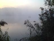 Соснівка з panoramio.com