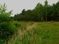 Стіжок з panoramio.com