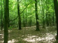 Майдан-Вербецький з panoramio.com