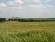 Сліди з panoramio.com