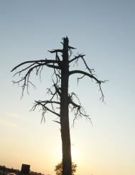 Угнів з panoramio.com