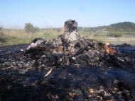 Старуня з panoramio.com