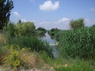 Солонці з panoramio.com