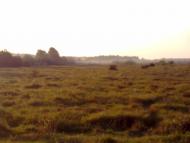 Сальник з panoramio.com