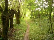 Ворвулинці з panoramio.com