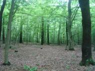 Майдан-Вербецький з panoramio.com