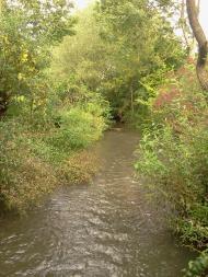 Ворвулинці з panoramio.com