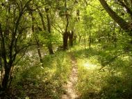 Ворвулинці з panoramio.com