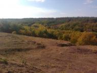 Троїцьке з panoramio.com