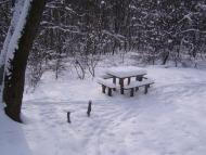 Лісна Поляна з panoramio.com