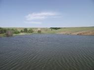 Черемшине з panoramio.com