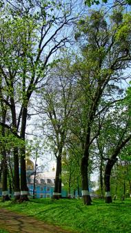 Городок з panoramio.com