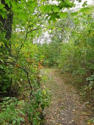 Гоголівка - Останні фото