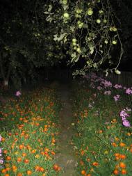 Андрієвичі з panoramio.com