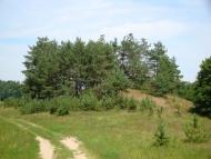 Лозино з panoramio.com