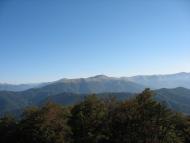 Вільшани з panoramio.com