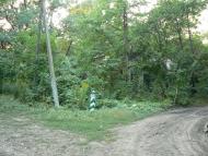 Гоголівка - Останні фото