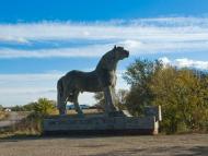 Новоолександрівка з panoramio.com