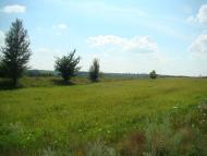 Халча з panoramio.com