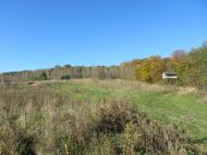 Поляна з panoramio.com