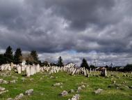 Підгайці з panoramio.com