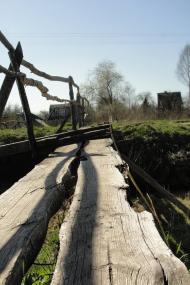 Веснянка - Останні фото