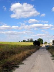 Тараща з panoramio.com