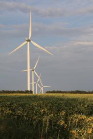 Красноармійське з panoramio.com