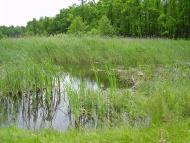 Сальник з panoramio.com