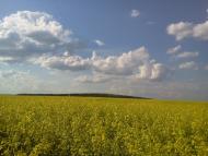 Богушівка з panoramio.com