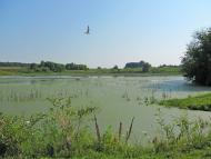 Кустин з panoramio.com