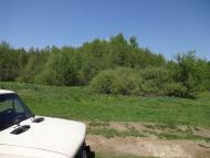 Курганці з panoramio.com