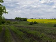 Братсько-Семенівка з panoramio.com