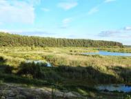 Тутовичі з panoramio.com