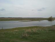 Ryabyna - Latest photos