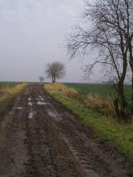 Угнів з panoramio.com
