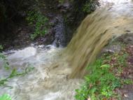 Терново з panoramio.com