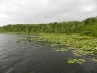 Турійськ з panoramio.com