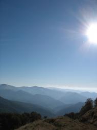 Вільшани з panoramio.com