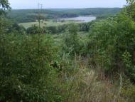 Лісна Поляна з panoramio.com