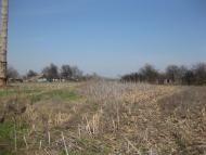 Підок з panoramio.com