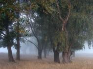 Слов'яносербськ з panoramio.com