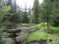 Слобода-Болехівська з panoramio.com