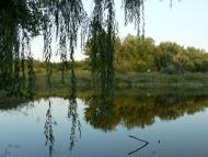 Гоголівка з panoramio.com