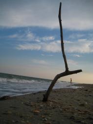 Приморське з panoramio.com