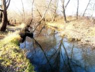 Дроговиж з panoramio.com