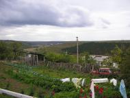 Дубове з panoramio.com