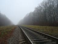 Соколівка з panoramio.com