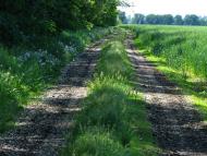 Першотравенськ з panoramio.com