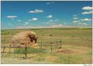 Виноградное - Последние фото